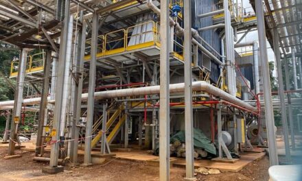 Coupures d&rsquo;électricité en Guyane : un réseau défaillant très impactant