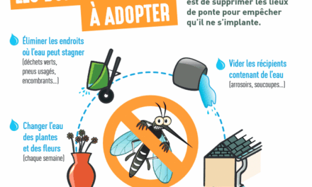 Chikungunya en Guyane : la circulation reste active sur l’île de Cayenne