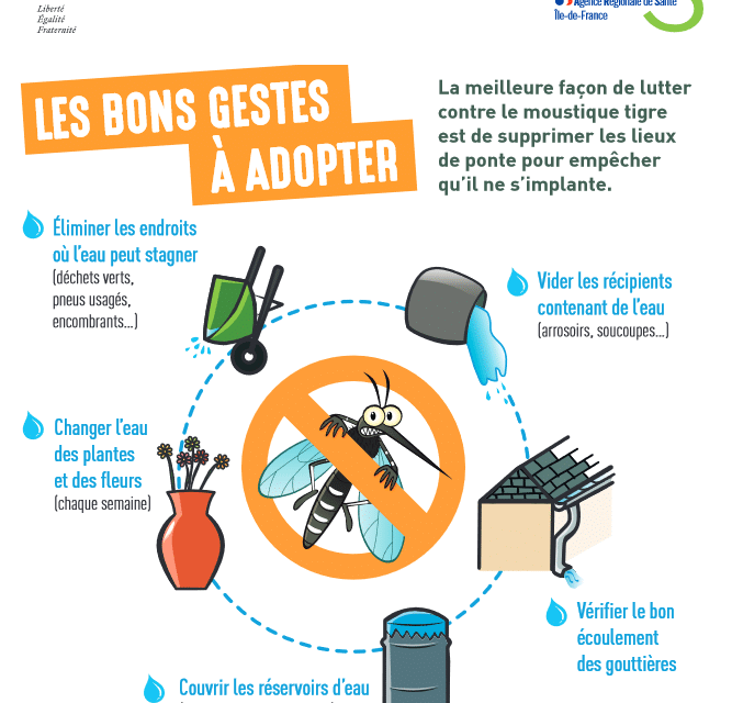 Chikungunya en Guyane : la circulation reste active sur l’île de Cayenne