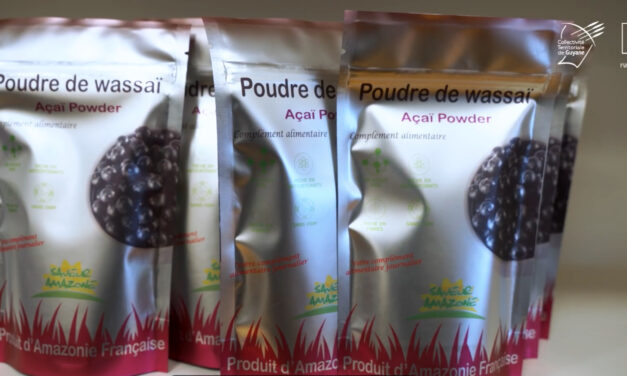 Yana Wassaï, de la Guyane jusqu’en Asie 
