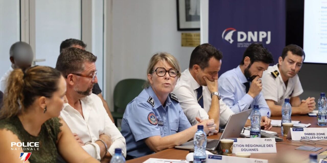 Criminalité organisée : les services de l’État renforcent leur coordination en Guyane
