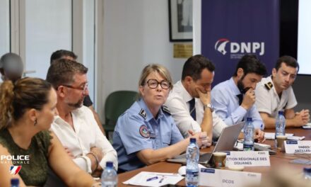 Criminalité organisée : les services de l’État renforcent leur coordination en Guyane 