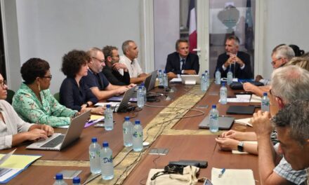 Métaux lourds : la Guyane veut unifier le parcours de prise en charge 