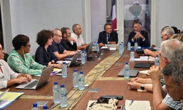 Métaux lourds : la Guyane veut unifier le parcours de prise en charge 