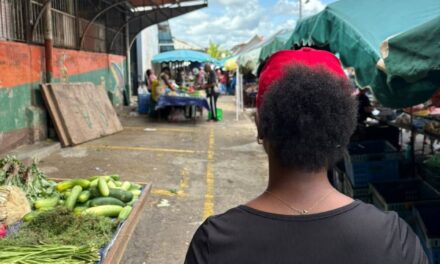 En Guyane, les jeunes veulent entreprendre mais le financement reste le premier obstacle