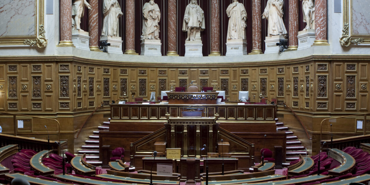 Deux nouveaux sénateurs pour porter les enjeux de la Guyane