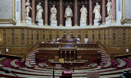 Deux nouveaux sénateurs pour porter les enjeux de la Guyane