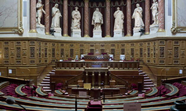Deux nouveaux sénateurs pour porter les enjeux de la Guyane