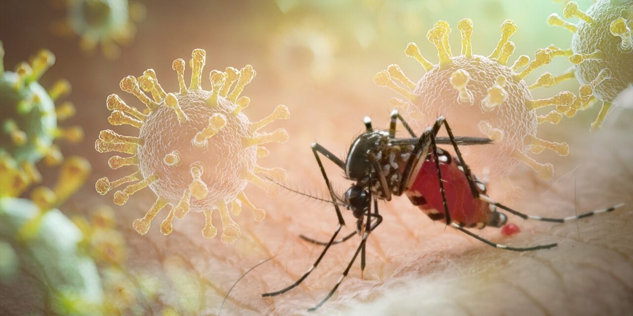 La Guyane renforce la recherche sur les vaccins contre le chikungunya 
