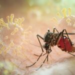 La Guyane renforce la recherche sur les vaccins contre le chikungunya 