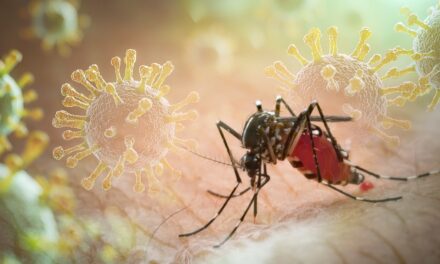 La Guyane renforce la recherche sur les vaccins contre le chikungunya 